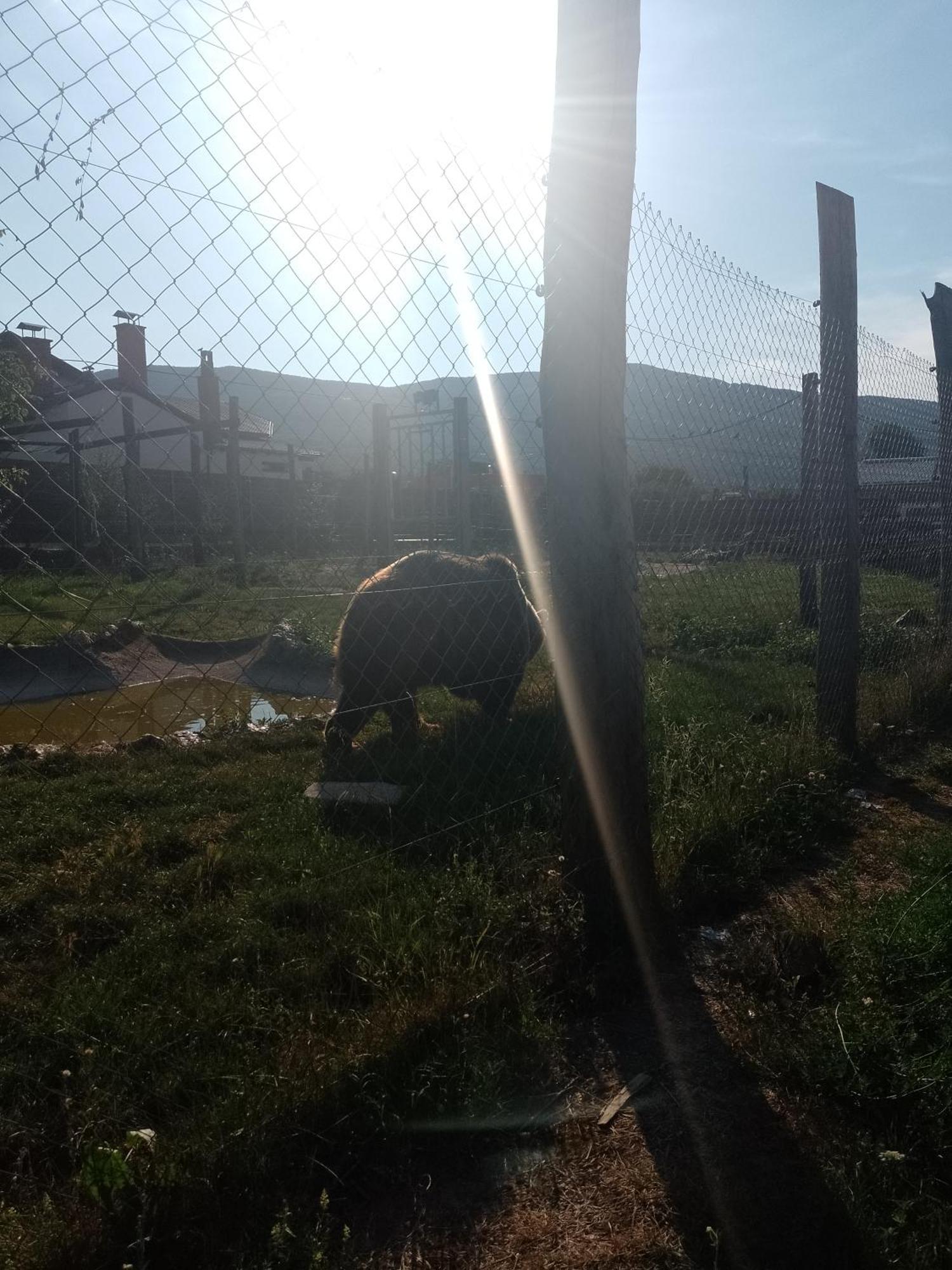 Apartman Djak Plitvička Jezera Exterior foto